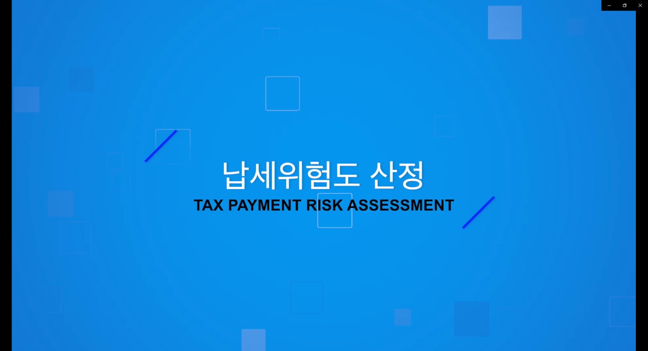 [TEAM] Tax Payment Risk Assessment