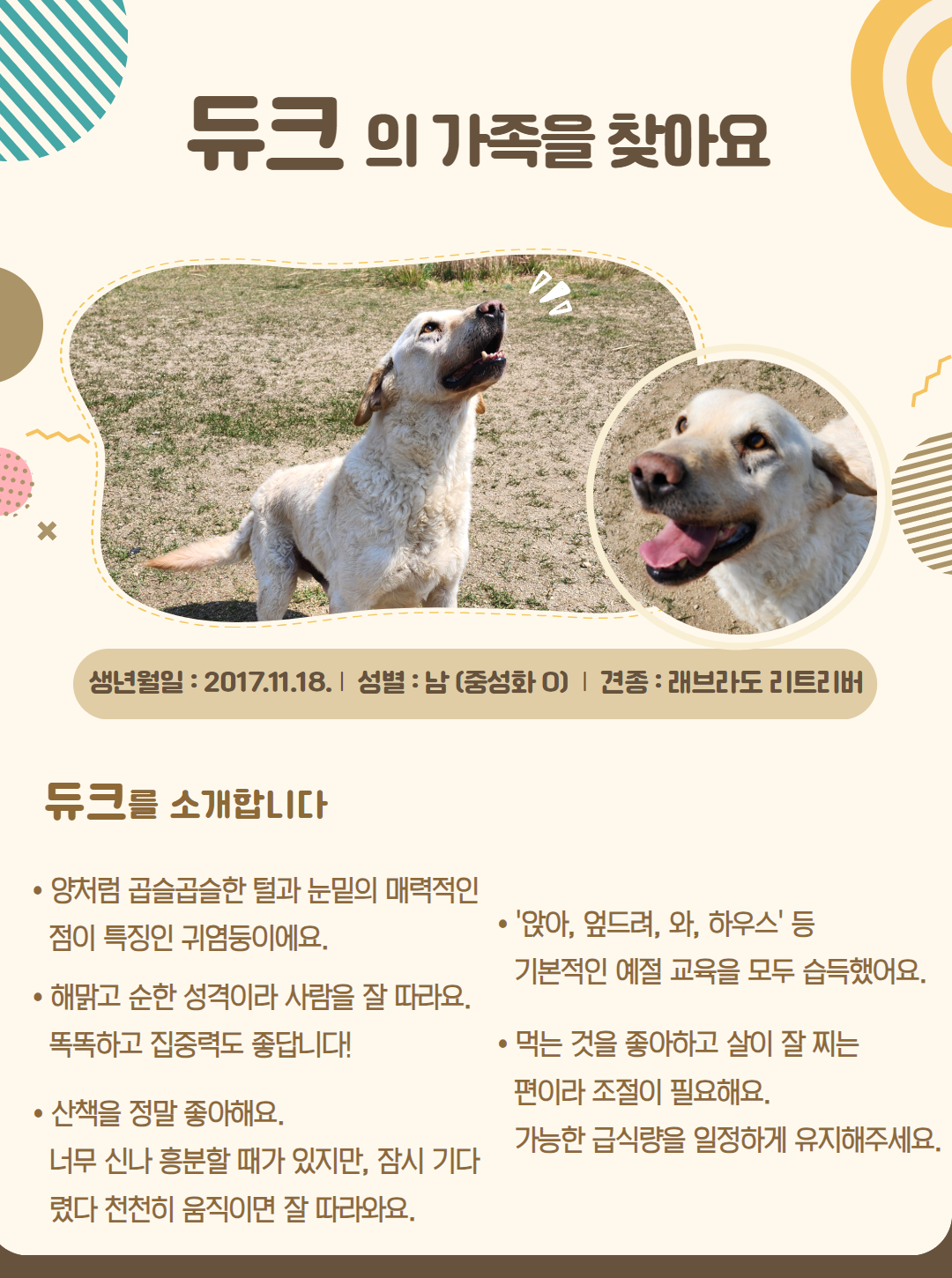 듀크