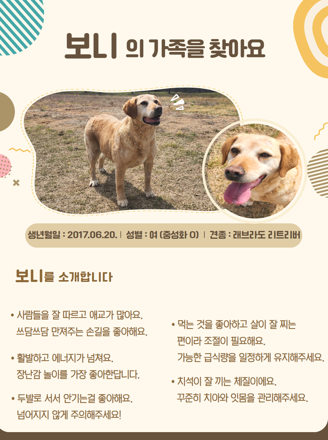 보니