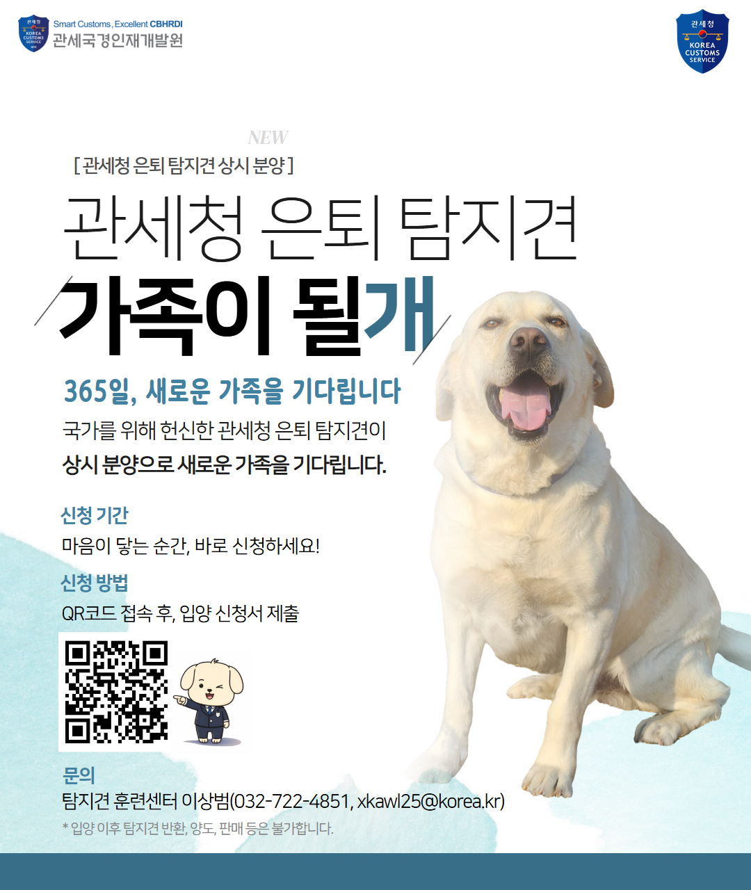 훈련견 민간분양 배너